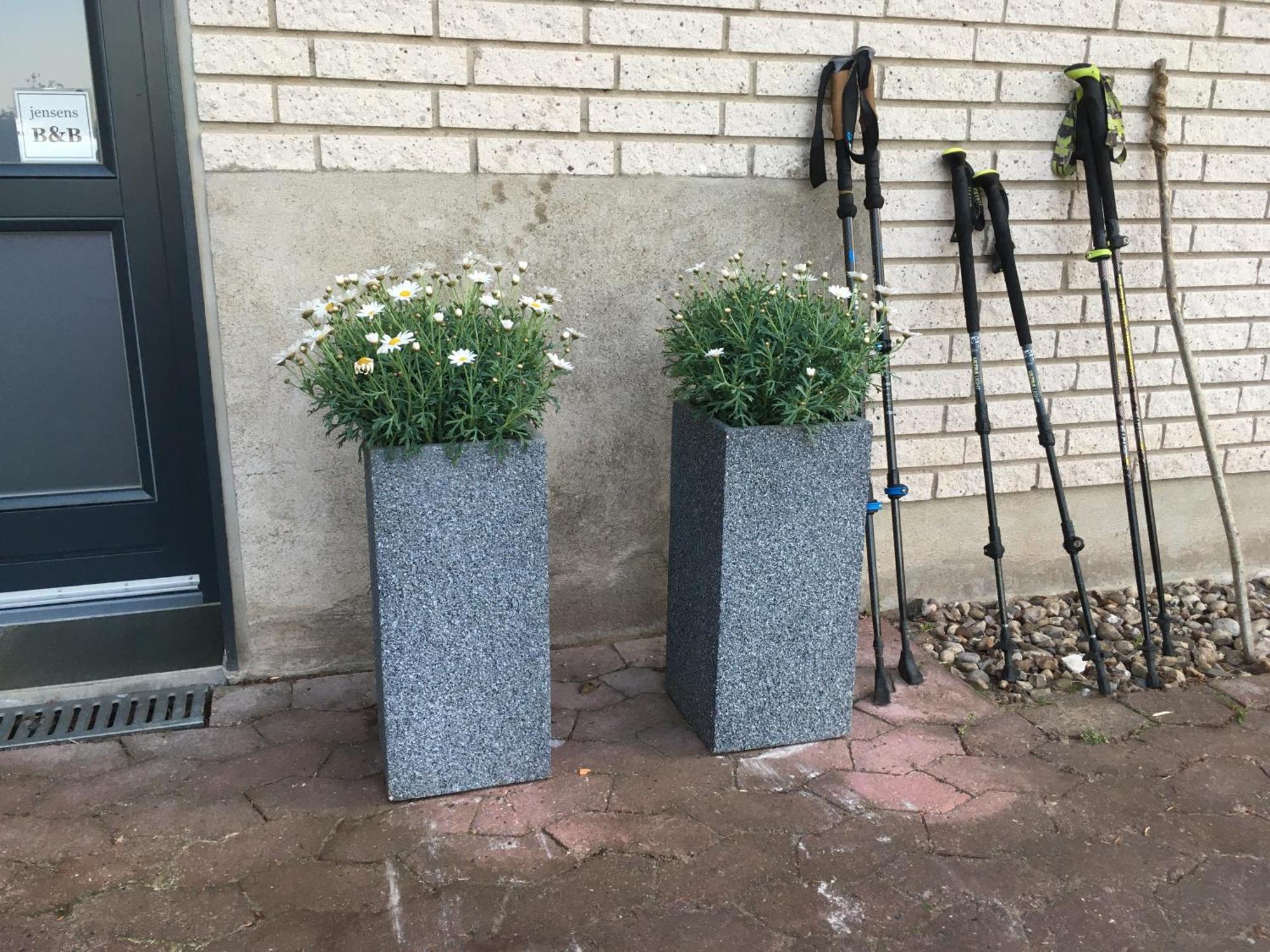 Jensens B&B Egtved Kültér fotó